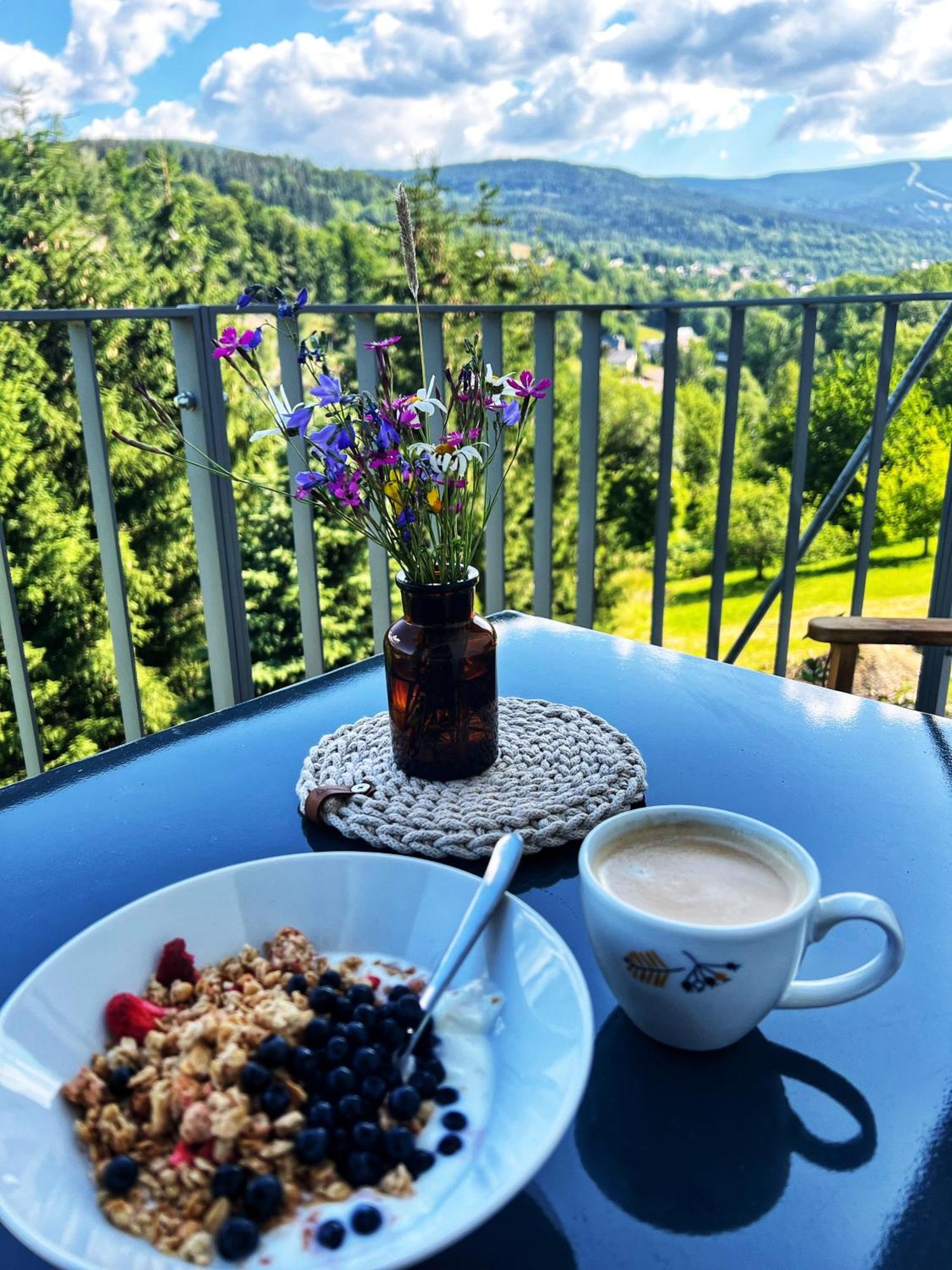 Vista Rokytnice * Rokytnice nad Jizerou