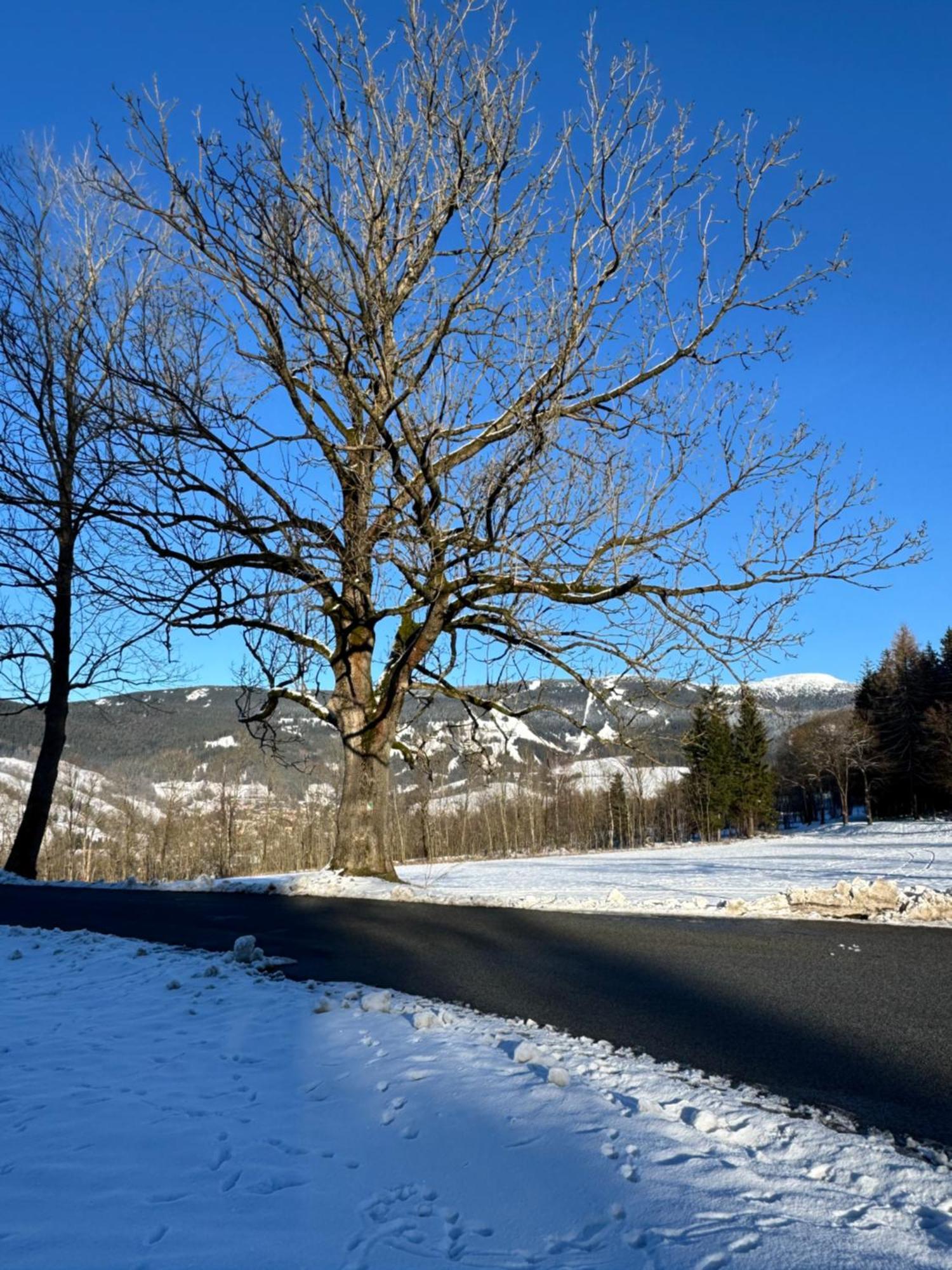 Appartement Vista Rokytnice Rokytnice nad Jizerou